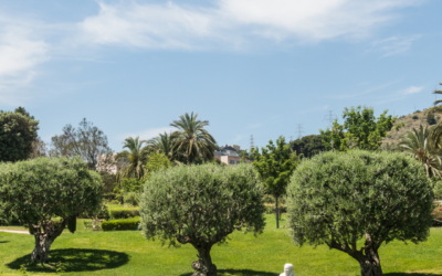 Discover Cervantes Park in Barcelona, an enclave of nature, roses and history