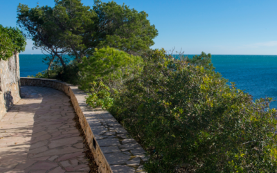 Discover what to do in L’Ametlla de Mar: beaches, adventure and gastronomy