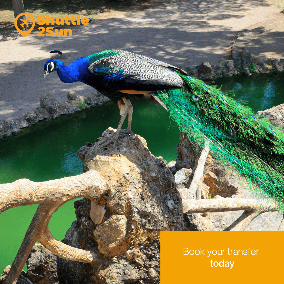 Things to Do with Children on the Costa Dorada: Activities for the Whole Family 